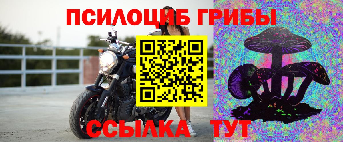 Обь  где продают   Вход с VPN  Псилоцибиновые грибы прущие грибы 